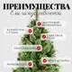 Ель искусственная Erbis Borys cмешанная (1.8м) — фото 10