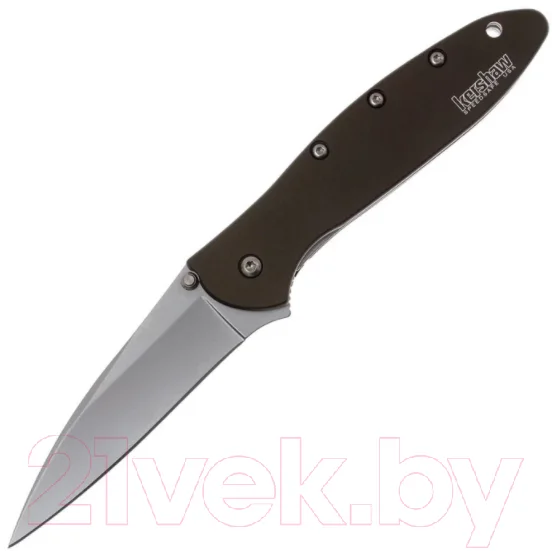 Нож складной Kershaw Leek / 1660OL