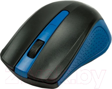 Мышь Ritmix RMW-555 (черный/синий)