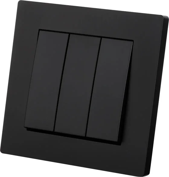 Выключатель TDM Сенеж SQ1816-0303 (черный)