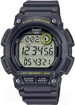 Часы наручные мужские Casio WS-2100H-8A — фото 1